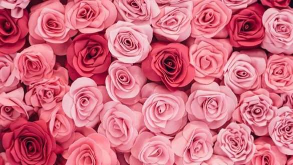Rose Water